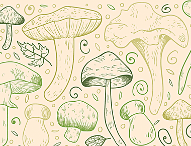Crack Your Fungal Funny Bone with These Mushroom Jokes