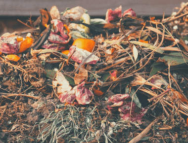 Dig into Mushroom Compost for an Effortless, Thriving Garden
