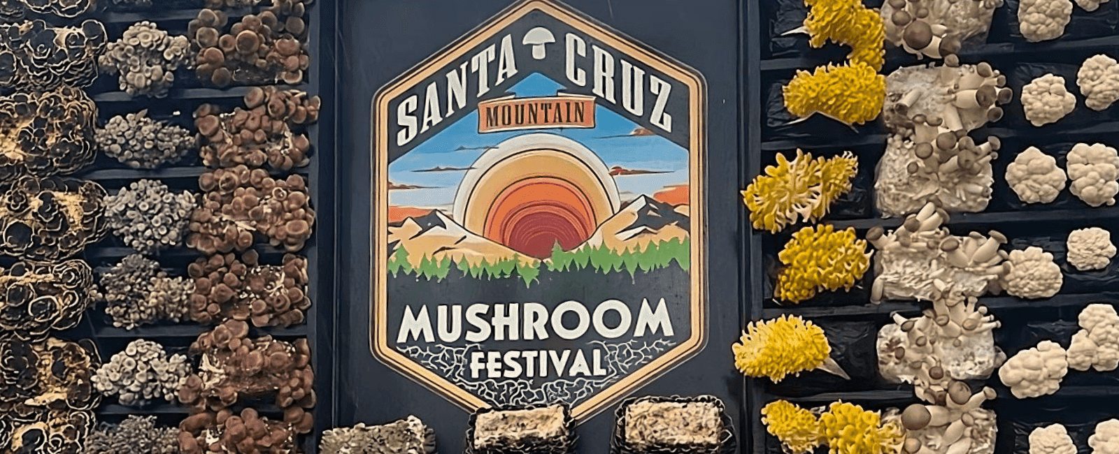 First-Ever Santa Cruz Mountain Mushroom Festival Brings Mushrooms to the Masses in California