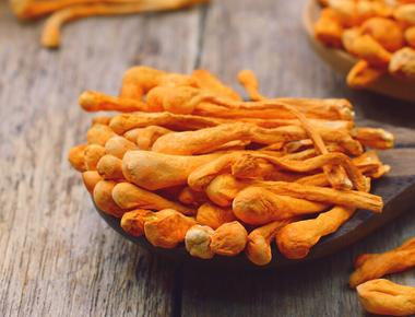 The Complete Guide to Cordyceps
