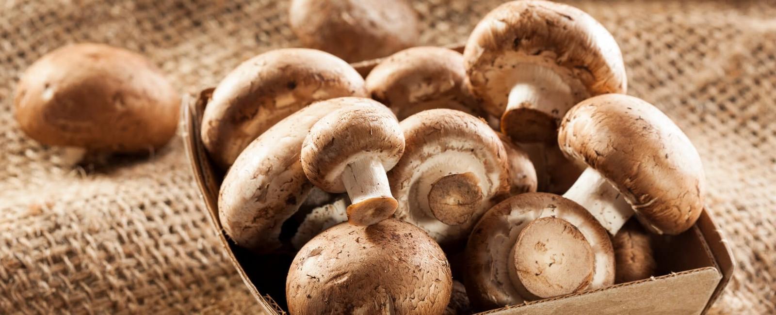 The Complete Guide to Baby Bella Mushrooms