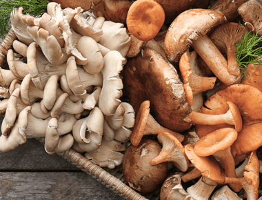 6 of the Healthiest Edible Mushrooms to Try in Your Next Recipes