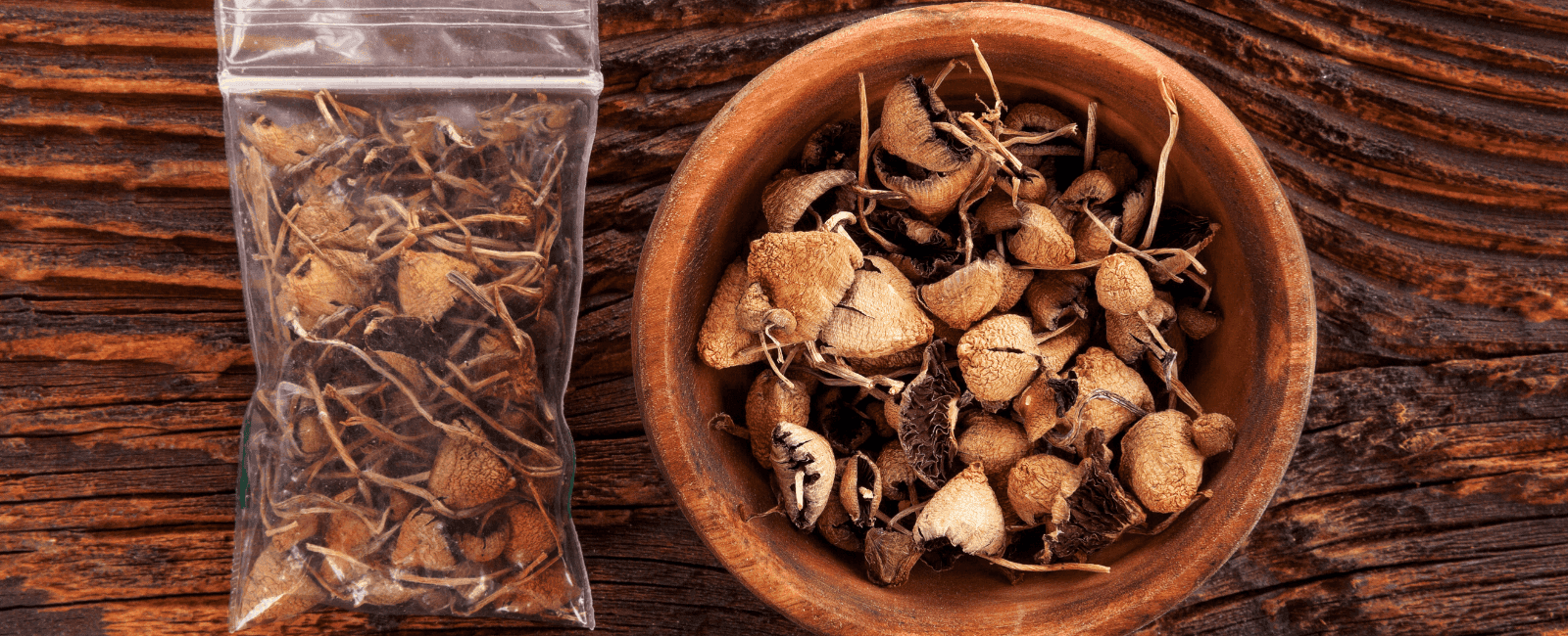 Psilocybin May Improve the Well-Being of Healthy Individuals, According to New Study