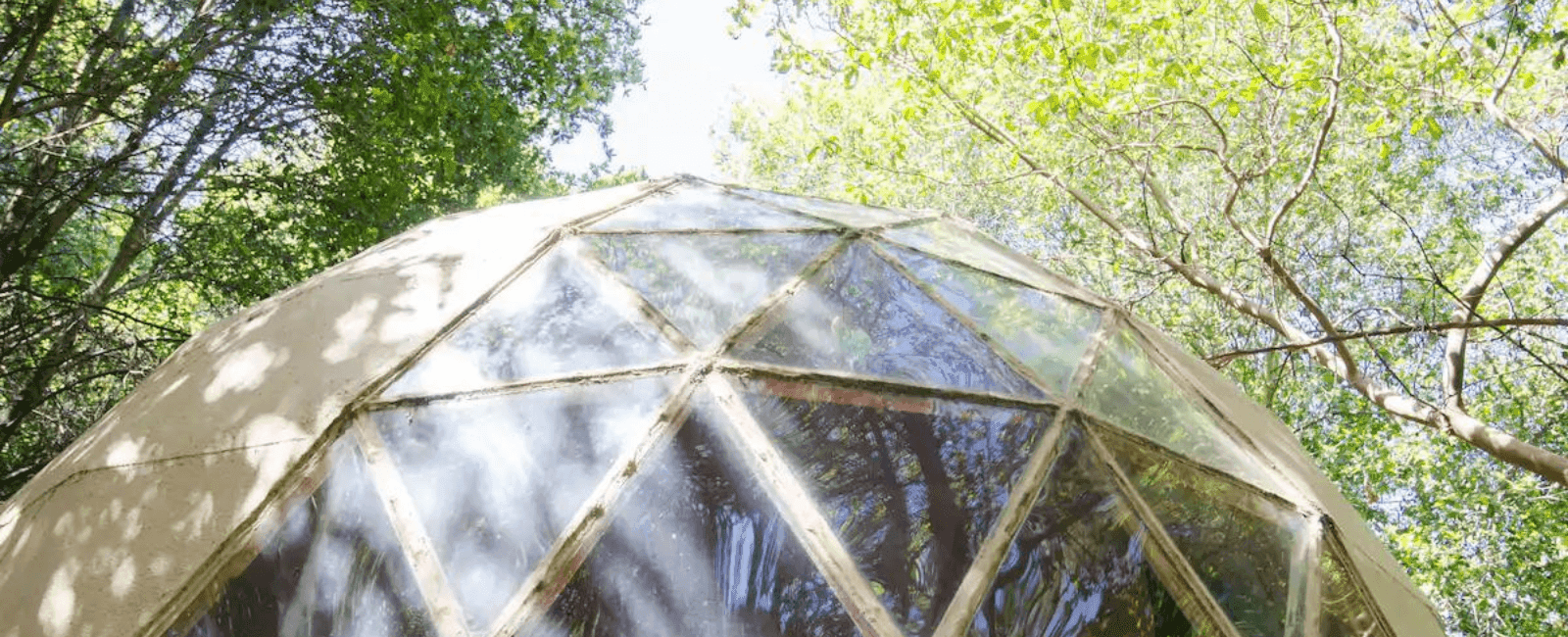 The Most-Visited Airbnb in the World Is a Mushroom Dome