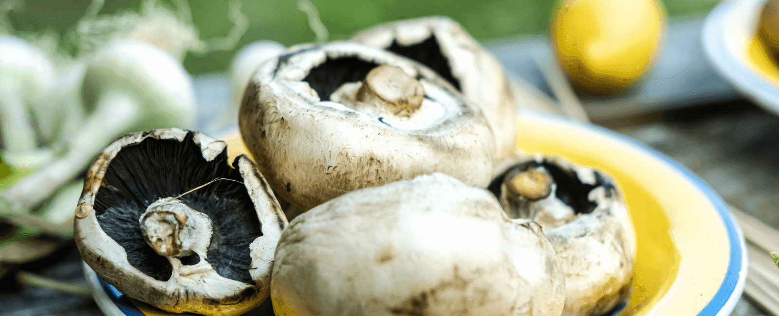 Researchers Find That Including Mushrooms in Your Diet May Reduce High Blood Pressure