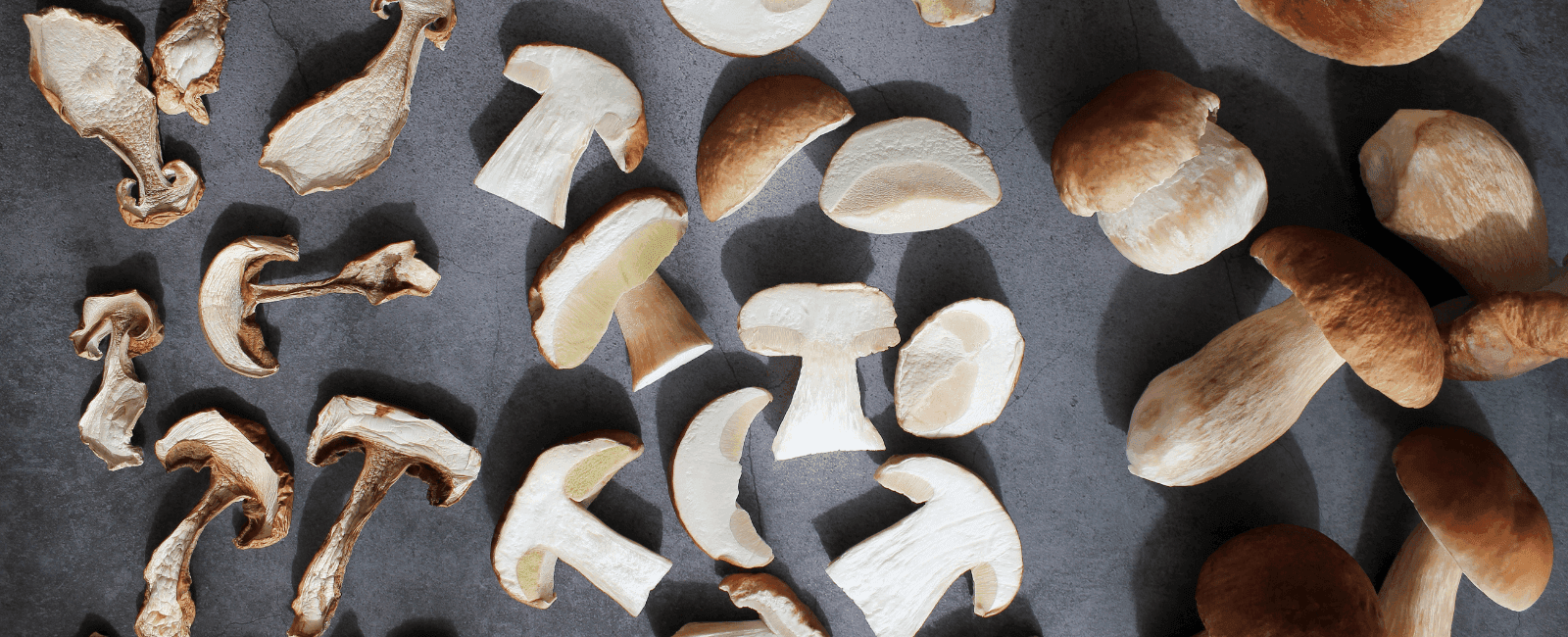 Top Tips on How to Store Mushrooms for Ultimate Freshness