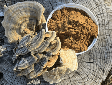 The Best Ways to Add Mushroom Powder to Your Daily Routine