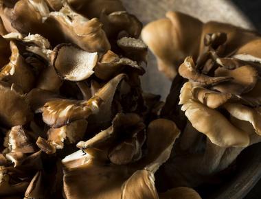 The Complete Guide to Hen of the Woods Mushrooms