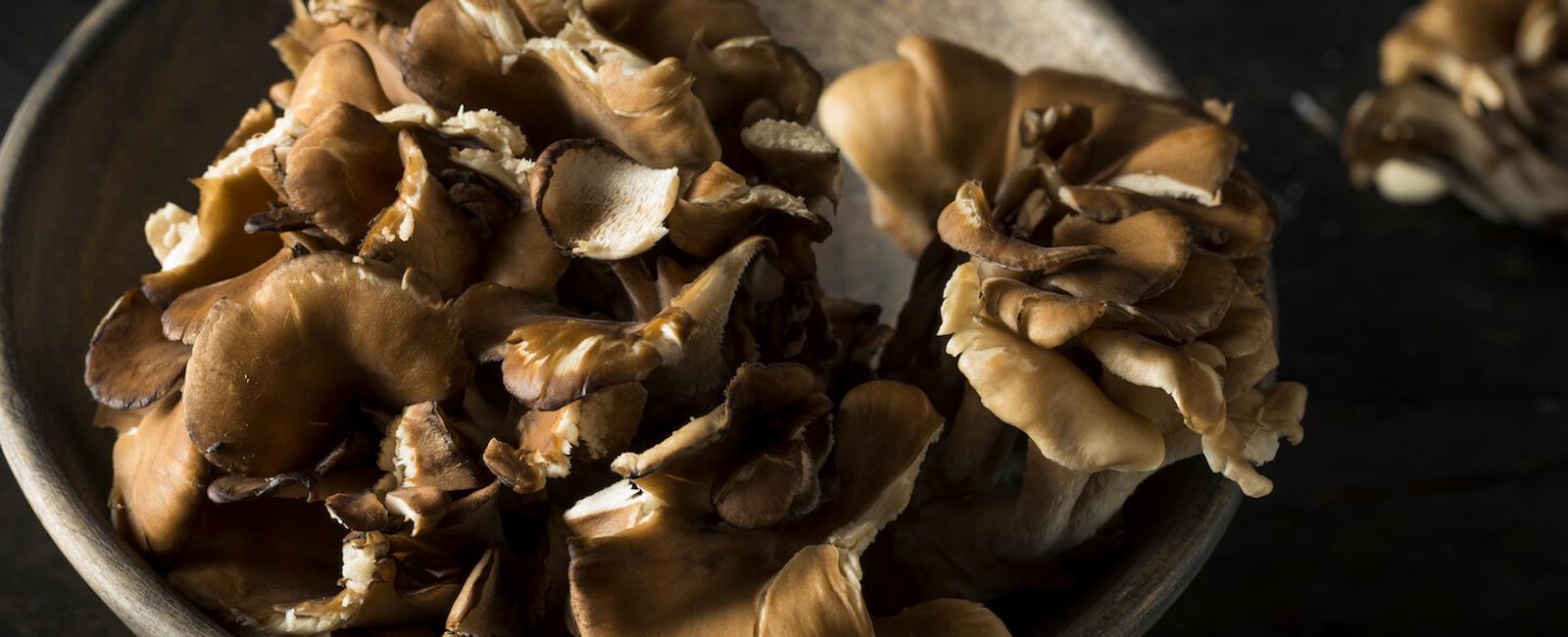 The Complete Guide to Hen of the Woods Mushrooms