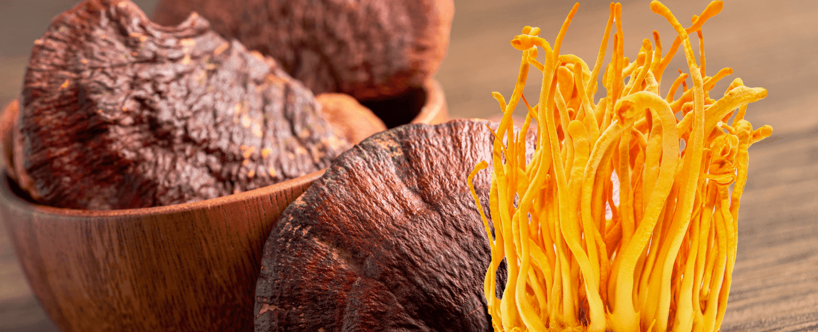 Mixture of Reishi and Cordyceps Extracts Found to Have Significant Antioxidant Capacity