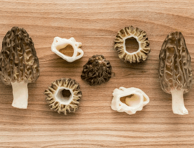 Distinguishing True Morel Mushrooms From Their Poisonous Look-Alikes
