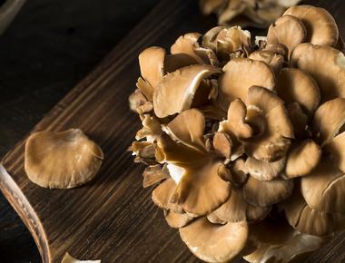 The Complete Guide to Maitake Mushrooms
