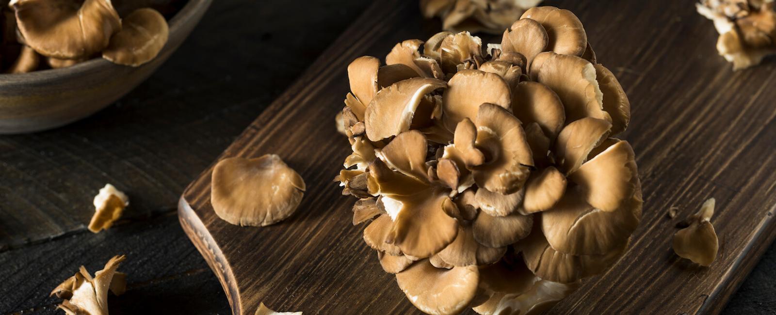 The Complete Guide to Maitake Mushrooms