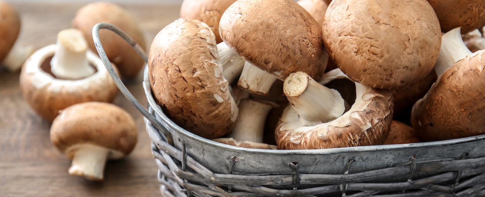 The Complete Guide to Cremini Mushrooms