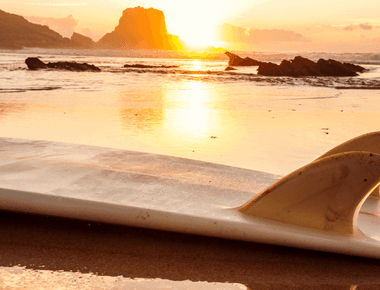 The Future of Surfboards Lies in Mushrooms? How Mycelium Boards Are Helping the Environment