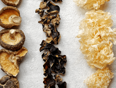 The Guide to Functional Mushrooms & Your Wellness Routine