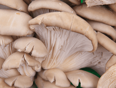 How to Enjoy Mushrooms on a Low FODMAP Diet