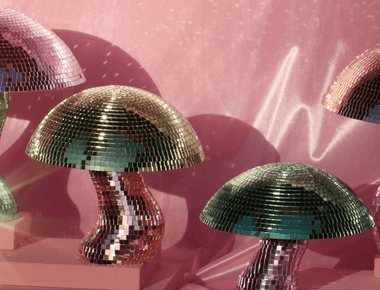 The Disco Mushroom Your Home Needs