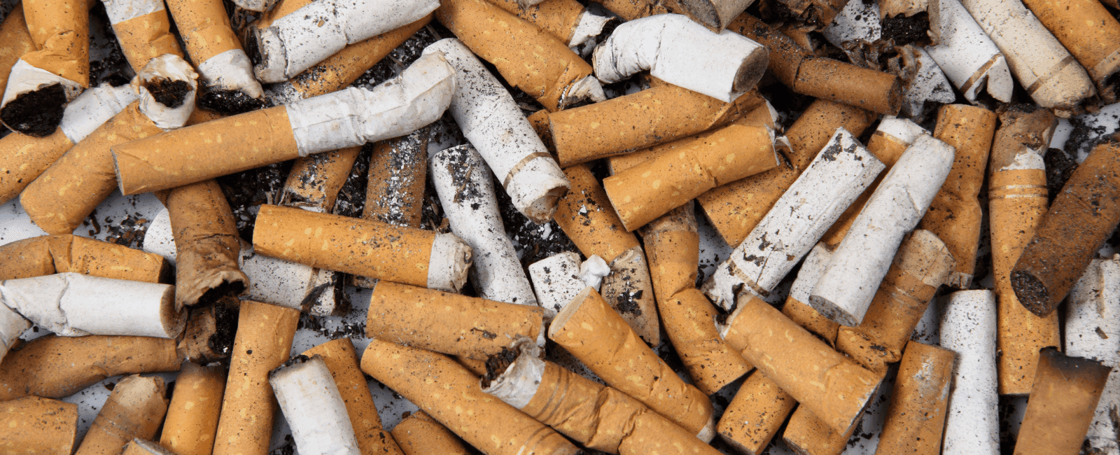 No Ifs, Ands, or Butts About It: Solving the Cigarette Waste Problem with Mushrooms