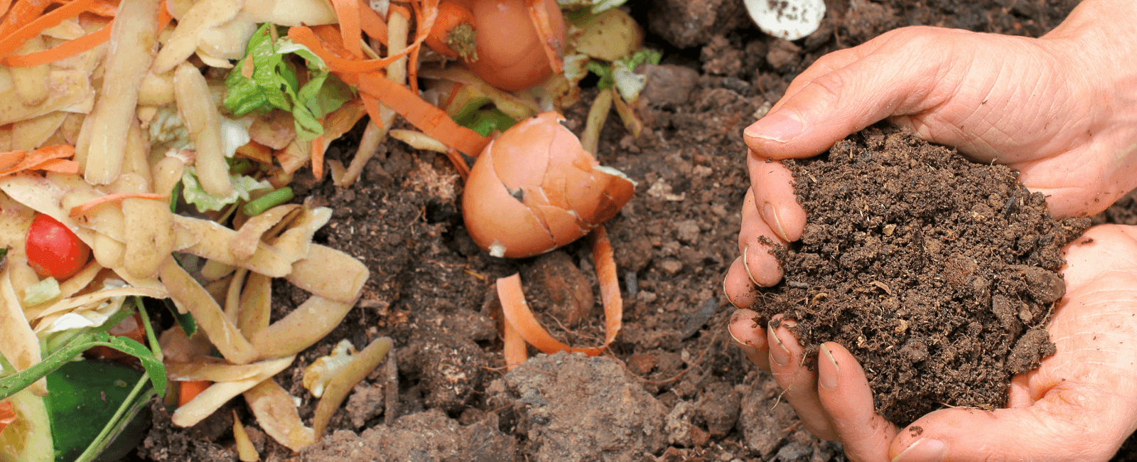 Specialized Microbes Found to Enhance the Composting Process of Agricultural Waste