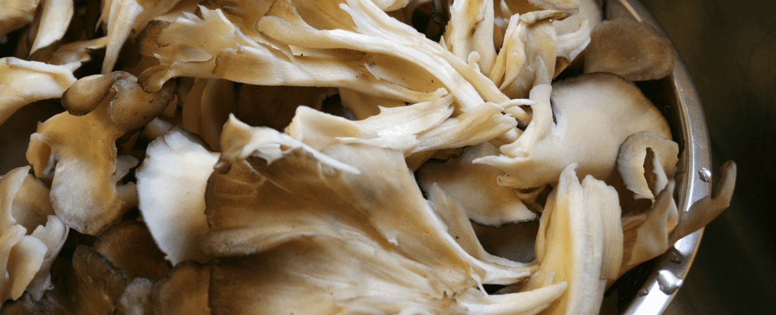 Maitake Mushrooms: Nature's Chicken Substitute