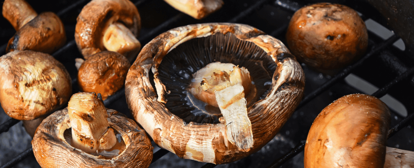 Can Mushrooms Replace Meat? A Nutritional and Culinary Comparison
