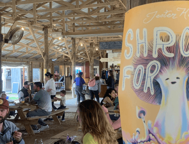 Shroom Forge: A Sunday of Shroomery with Central Texas Mycological Society