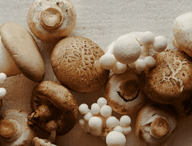 The Heath Benefits of Mushrooms: How Fungi Fuel Health and Fight Disease