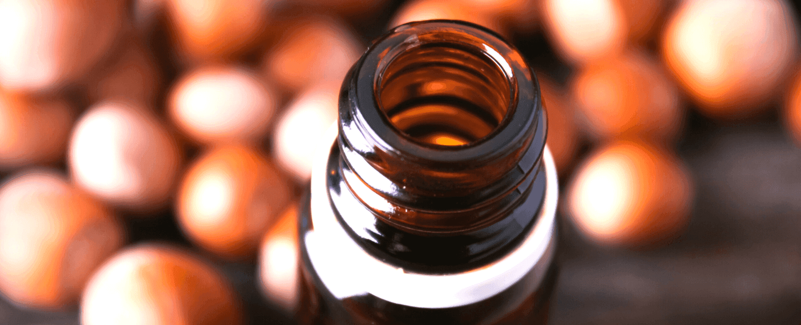 Mushroom Tinctures: How to Choose & Use the Best for You