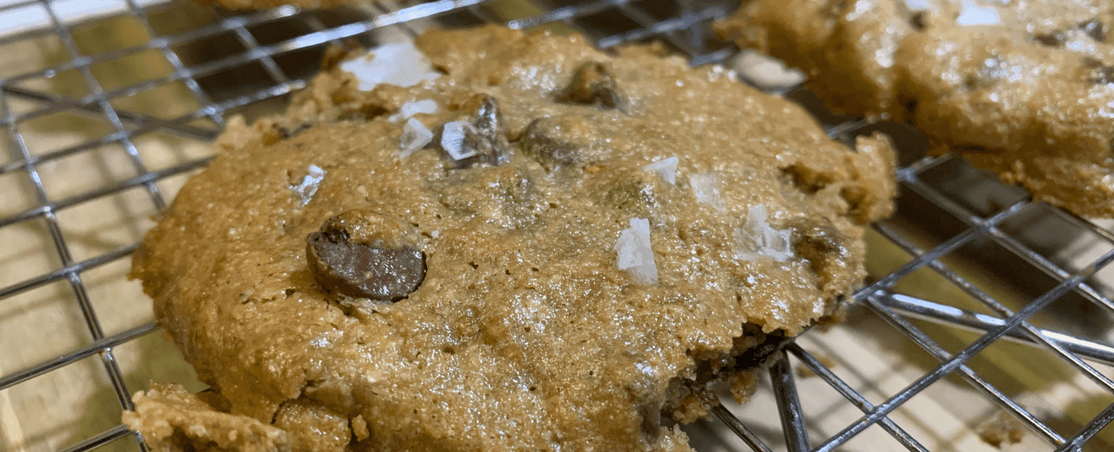 How to Make Shroomy Nut Butter Chocolate Chunk Cookies from 'Cooking with Mushrooms'