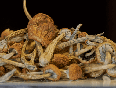 Psilocybin-Induced Neural Changes May Potentially Help Treat Alcohol Use Disorder