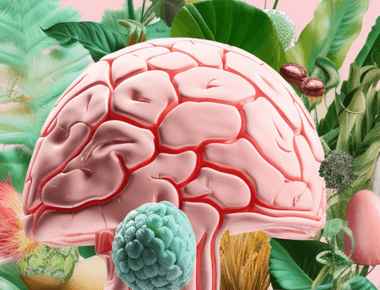 The Best Natural Nootropics for Better Memory and Focus