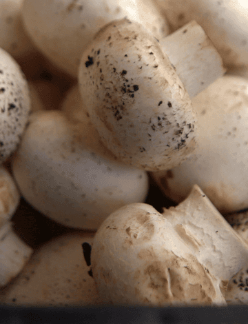 The Role of UV-Exposed Mushrooms in Combating Vitamin D Deficiency